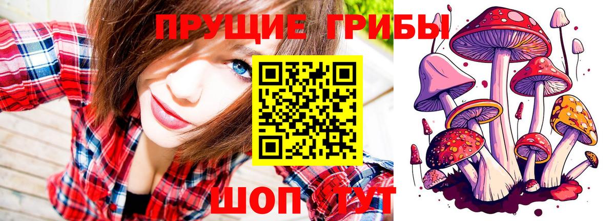 Надым  Псилоцибиновые грибы MAGIC MUSHROOMS  Вход с VPN 